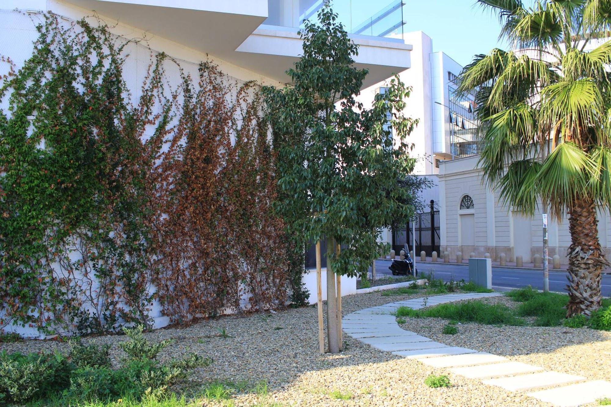 Marisabella Suite 8 Bari Exterior photo